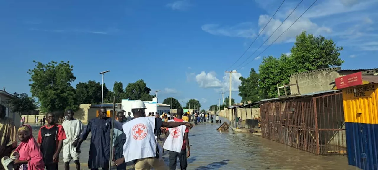 Red Cross seeks donations for Maiduguri flood victims to 'avert humanitarian crises'