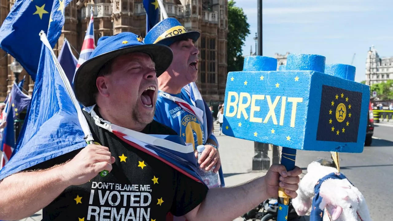 Remainers still don’t understand Brexit