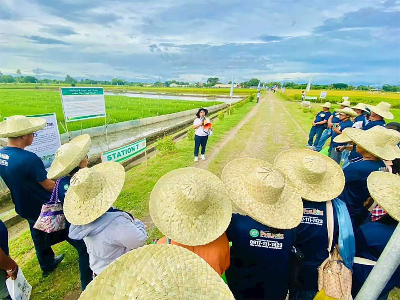 Latest rice tech pushed in Isabela