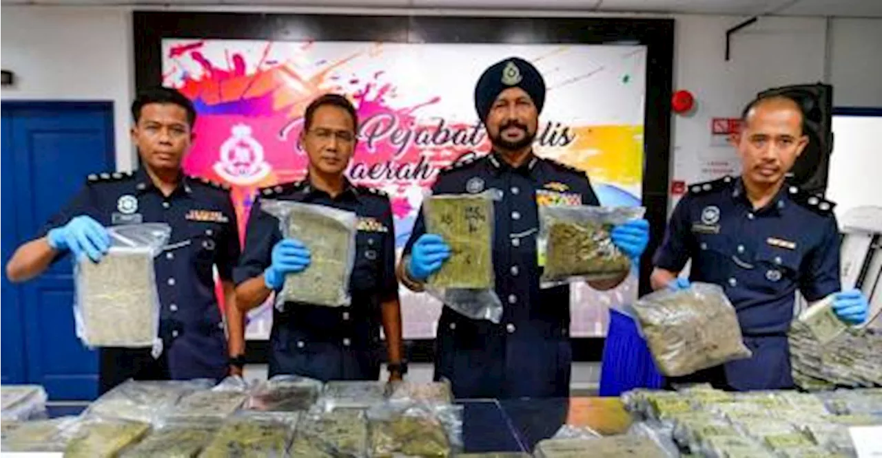 Polis tahan penganggur, rampas lebih 60 kg ganja bernilai RM203,632