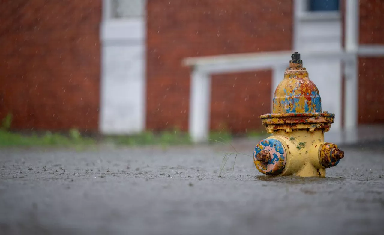 How to Protect Your Home During a Hurricane