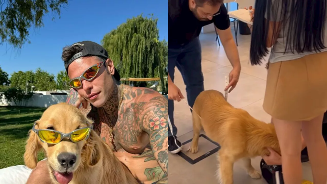 Fedez da Versace: la camicia su misura per Silvio (il suo cane)