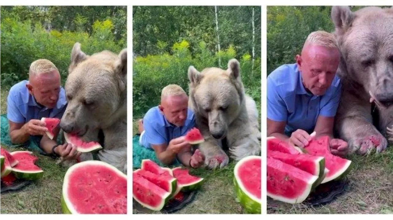 Lelaki Russia selamba kongsi tembikai dengan beruang