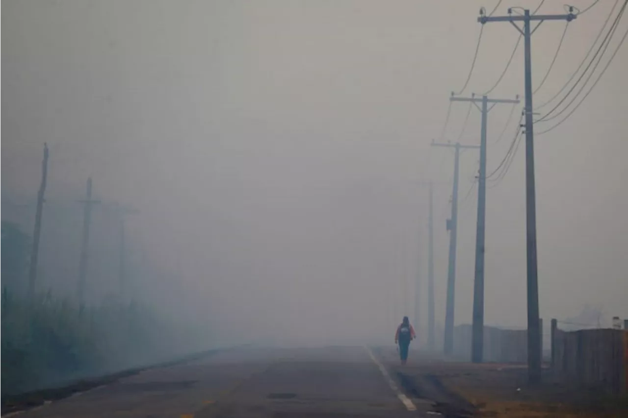 Brazil's Lula pledges to finish paving road that experts say could worsen Amazon deforestation