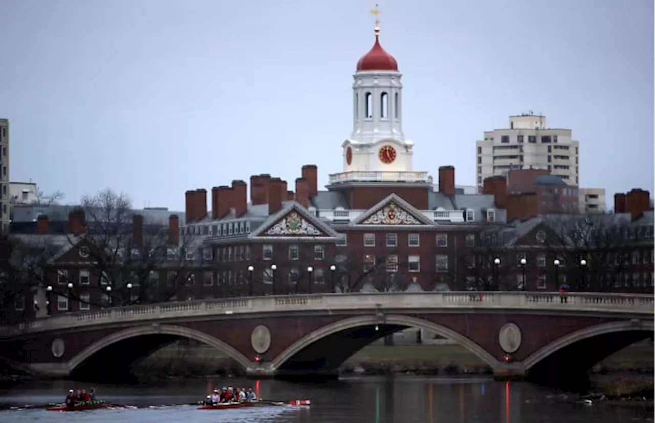 Harvard reports slight decline in Black students in wake of affirmative action ruling