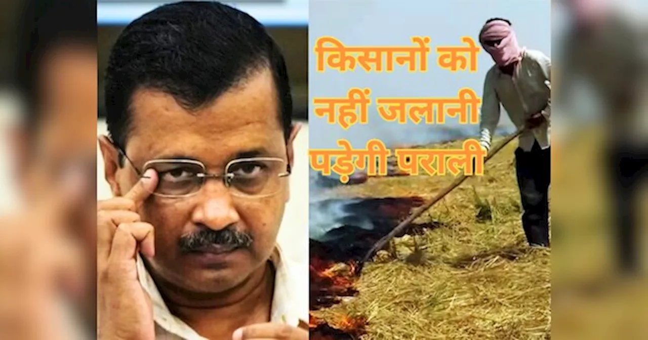 Arvind Kejriwal: किसानों को नहीं जलानी पड़ेगी पराली.. प्रदूषण के खिलाफ केजरीवाल सरकार ने लिया बड़ा फैसला