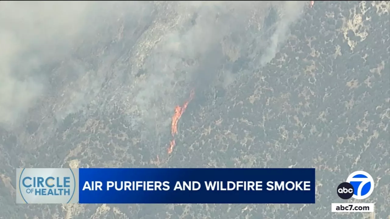 As massive wildfires become the norm, can air purifiers provide relief for indoor air quality?