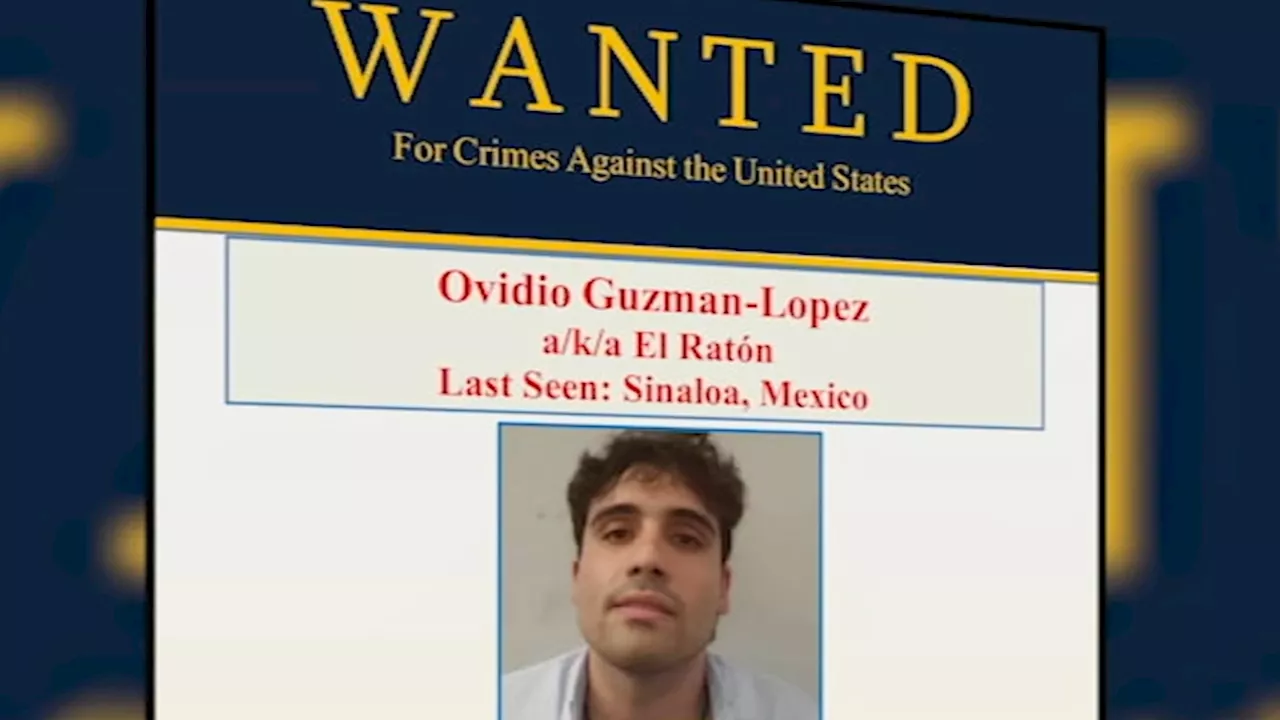 El Chapo's sons still held in US jails, no cooperation agreements with feds, attorney says