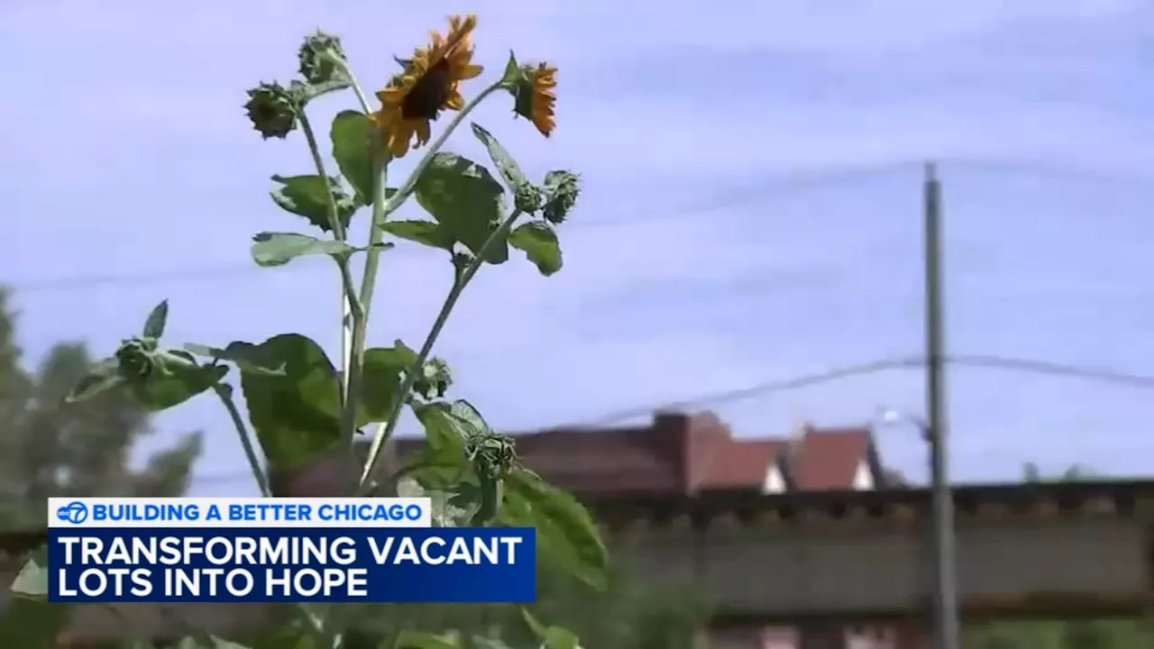 Non-profit Southside Blooms transforming vacant lot into hope, youth job opportunities