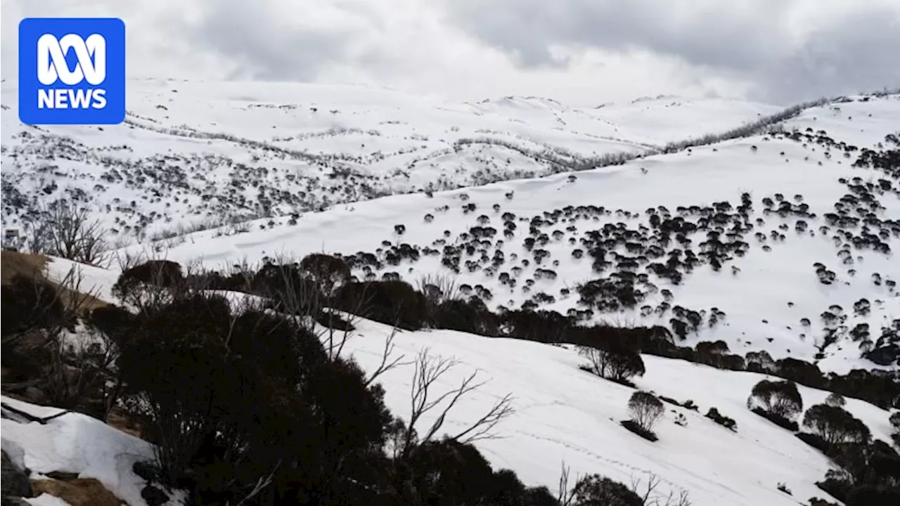 Coroner delivers findings into backcountry skier's death in Snowy Mountains