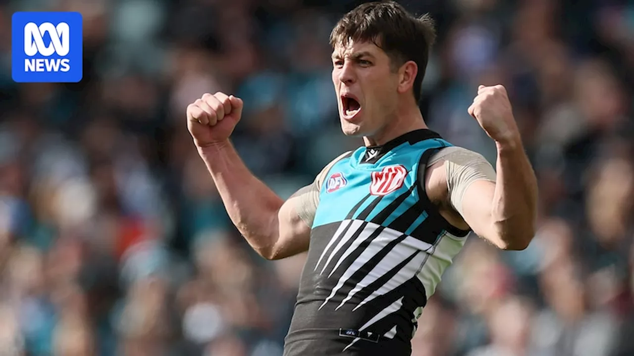 Port Adelaide coach Ken Hinkley dares Hawthorn to attack Zak Butters's injured ribs in semifinal