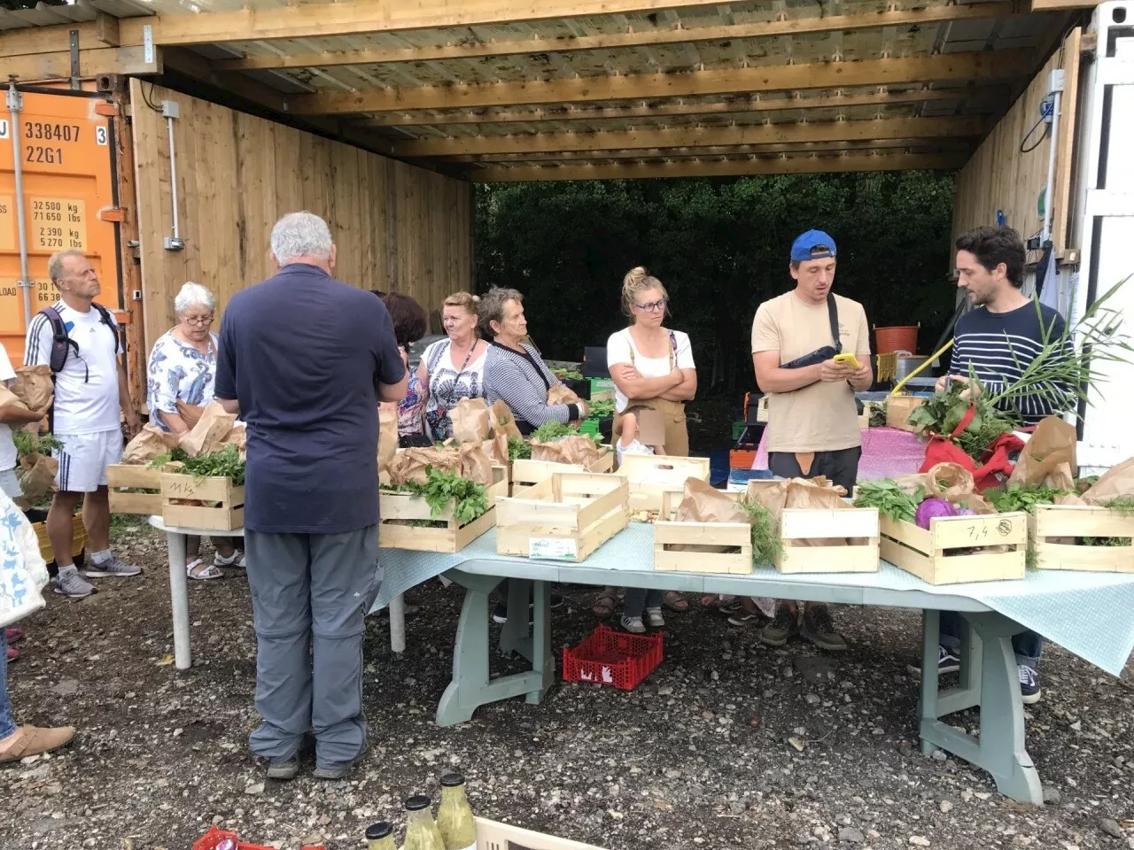 Autour de Fontainebleau : des légumes frais et moins chers avec les paniers des Gogottes