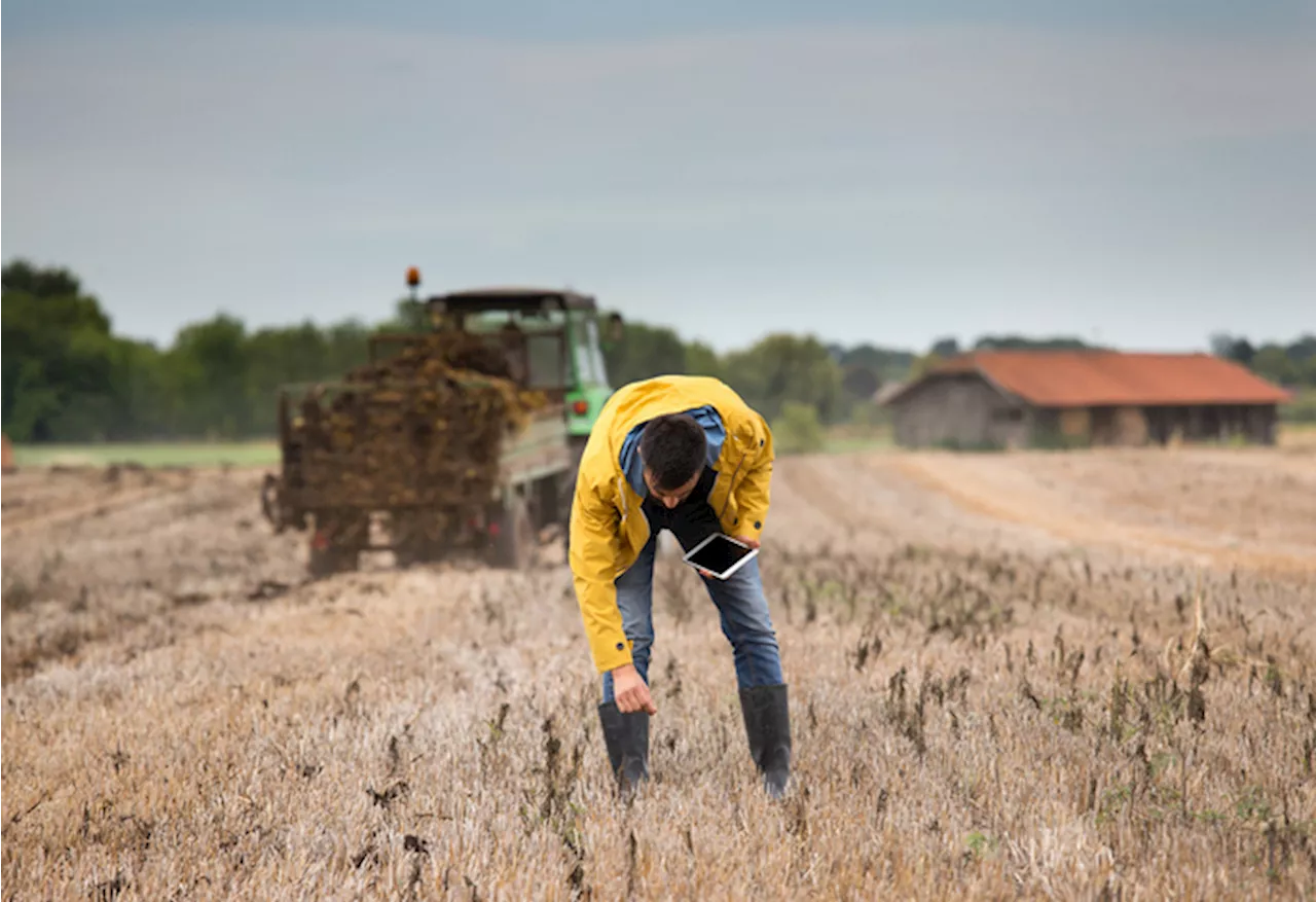Ministero, sarà un G7 Agricoltura inclusivo con uno sguardo all'Africa