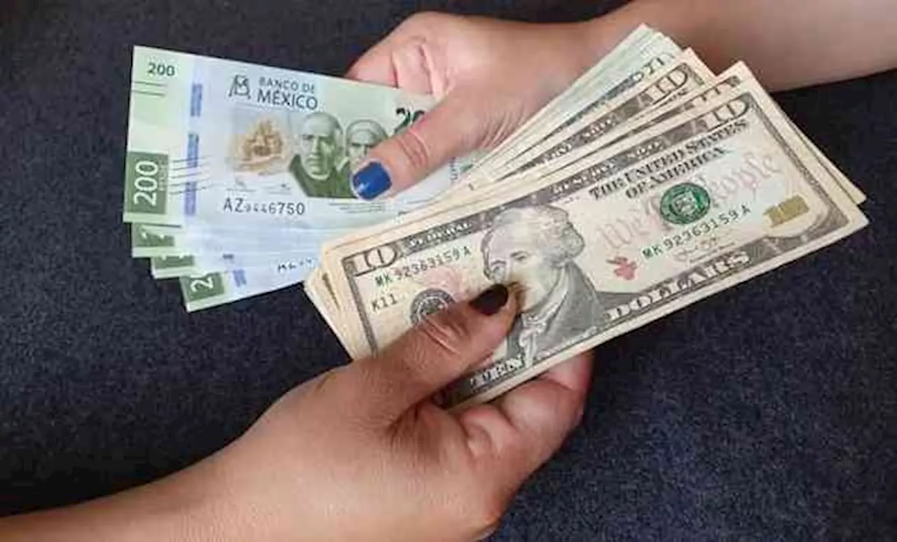 Precio del dólar hoy: el billete verde abre en 19.77 pesos al mayoreo este jueves