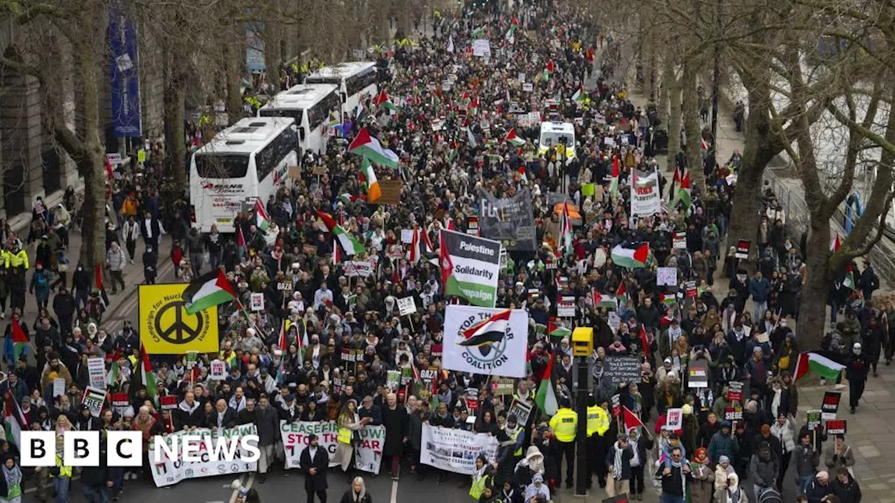 Woman Accused of Racially Aggravated Offence Over Coconuts Placard at Pro-Palestinian Rally