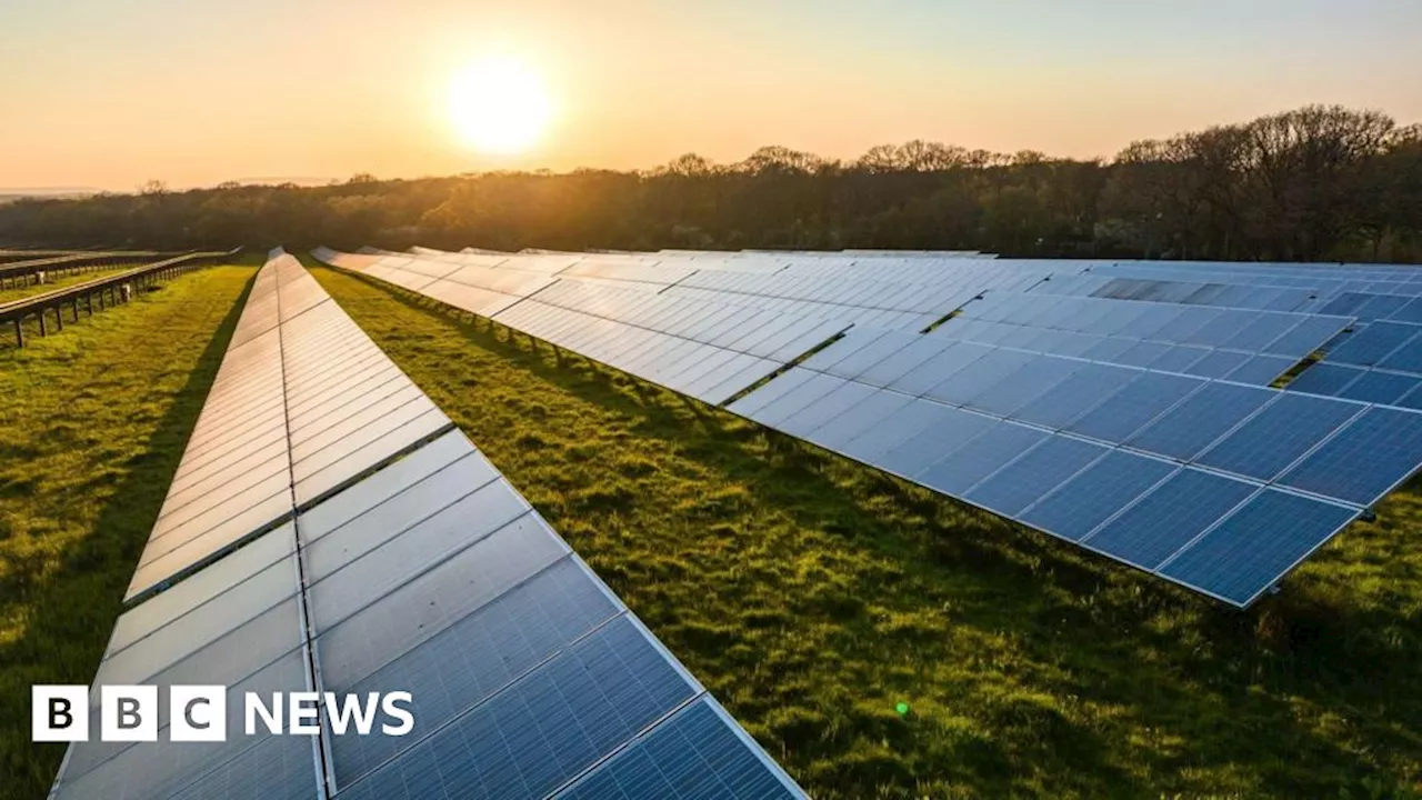 Norfolk High Grove Solar Farm public consultation begins