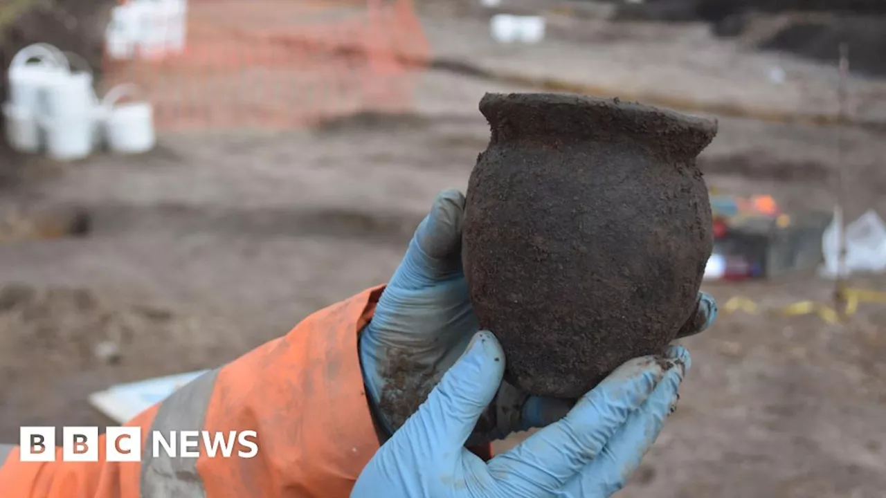 'Significant' Anglo-Saxon Dogger Bank finds to go on display