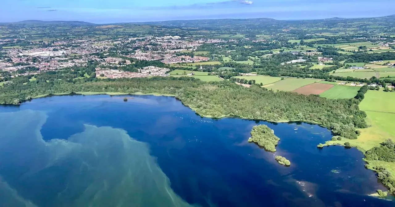 Lough Neagh recovery plan will involve “hurt and pain”, MLA warns