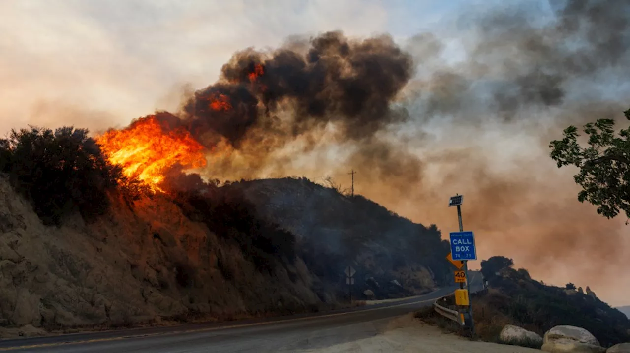 Nocturnal Wonderland 2024 Canceled Due to Southern California Wildfires