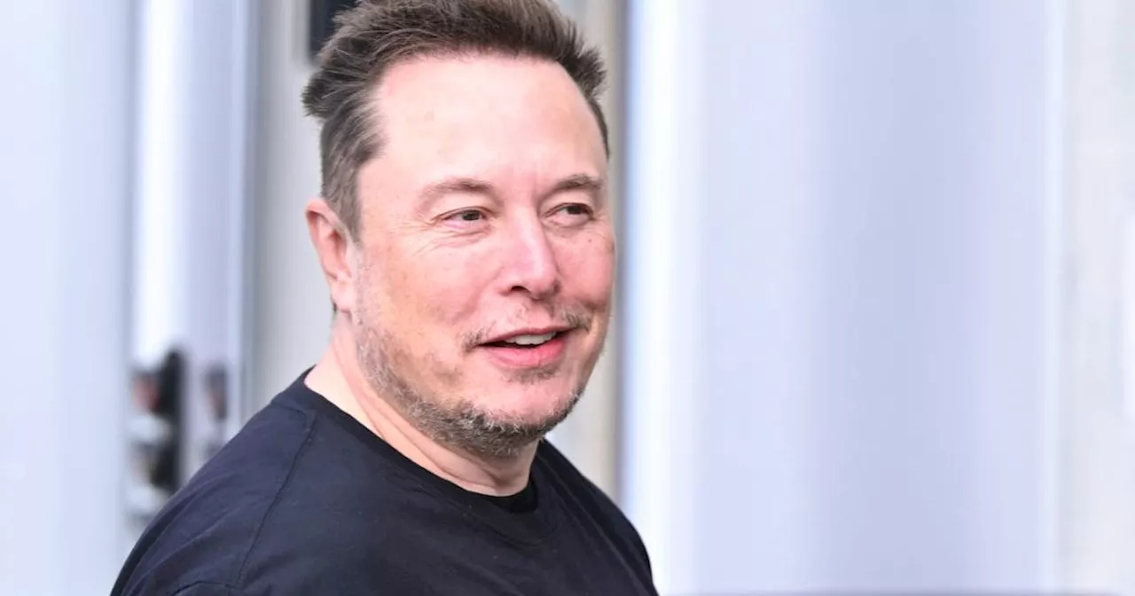 Elon Musk zu Taylor Swift: «Ich gebe dir ein Kind»