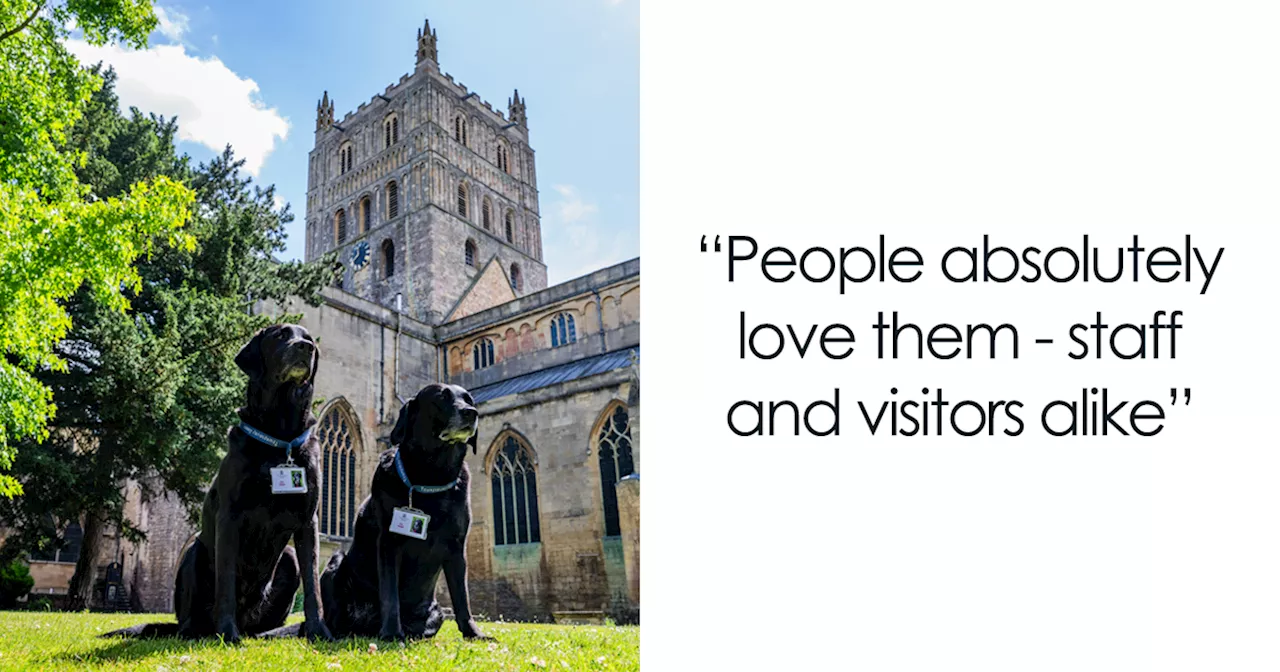 These Dogs Were Allowed To Come In Temporarily, But Ended Up Staying As Staff At Tewkesbury Abbey