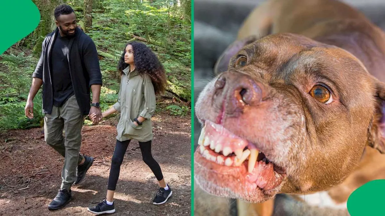 Father Saves Himself and Leaves Daughter To Pit Bull in Viral Video, Netizens Floored