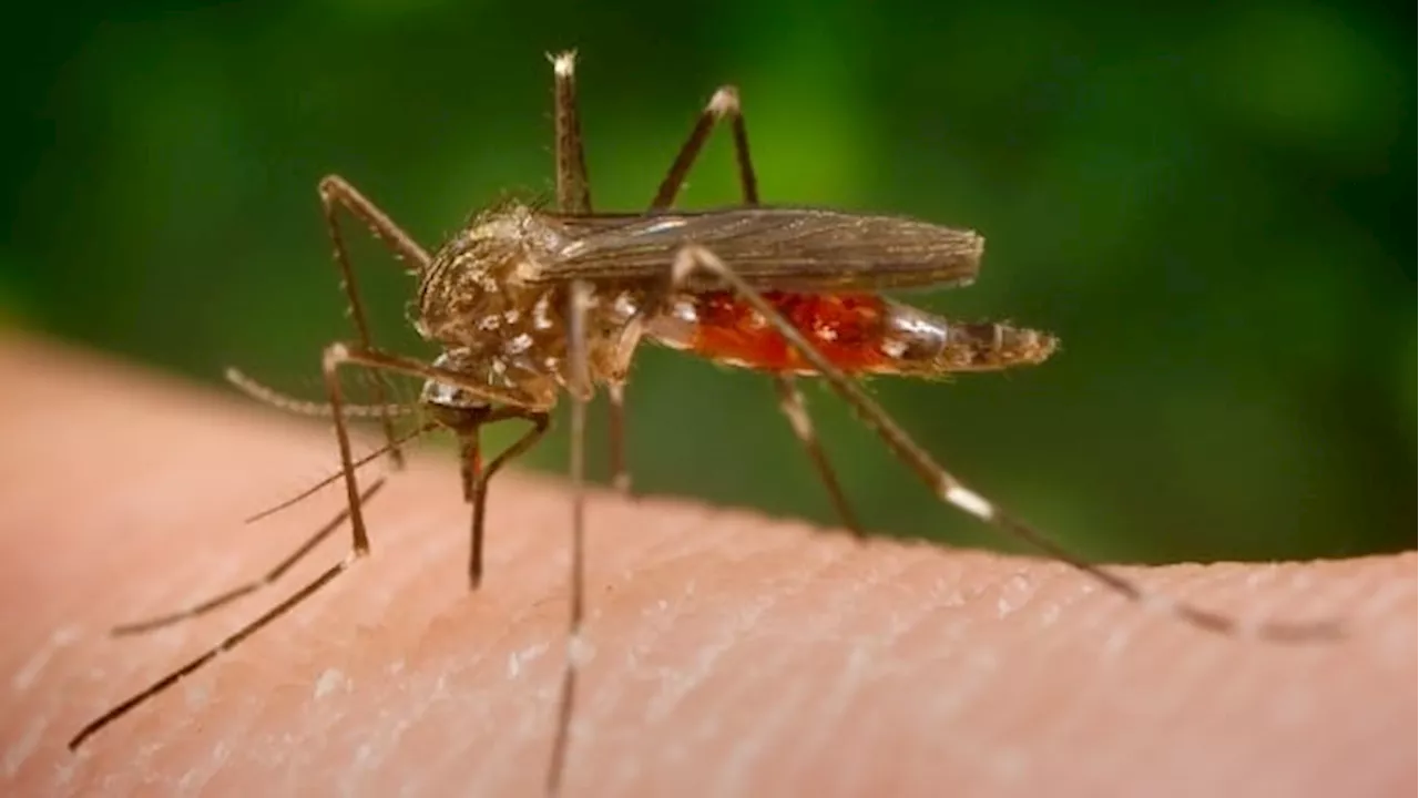 Ottawa Public Health reports first human case of Eastern Equine Encephalitis virus