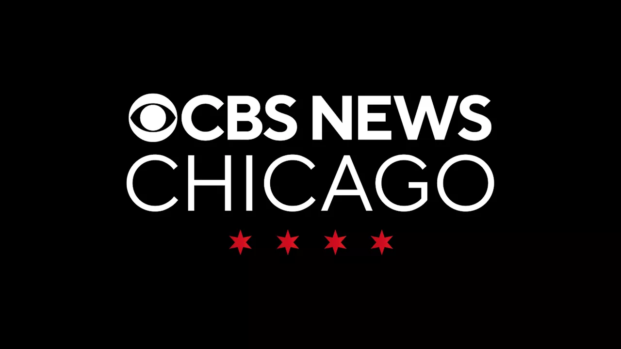 Cubs news and updates - CBS Chicago