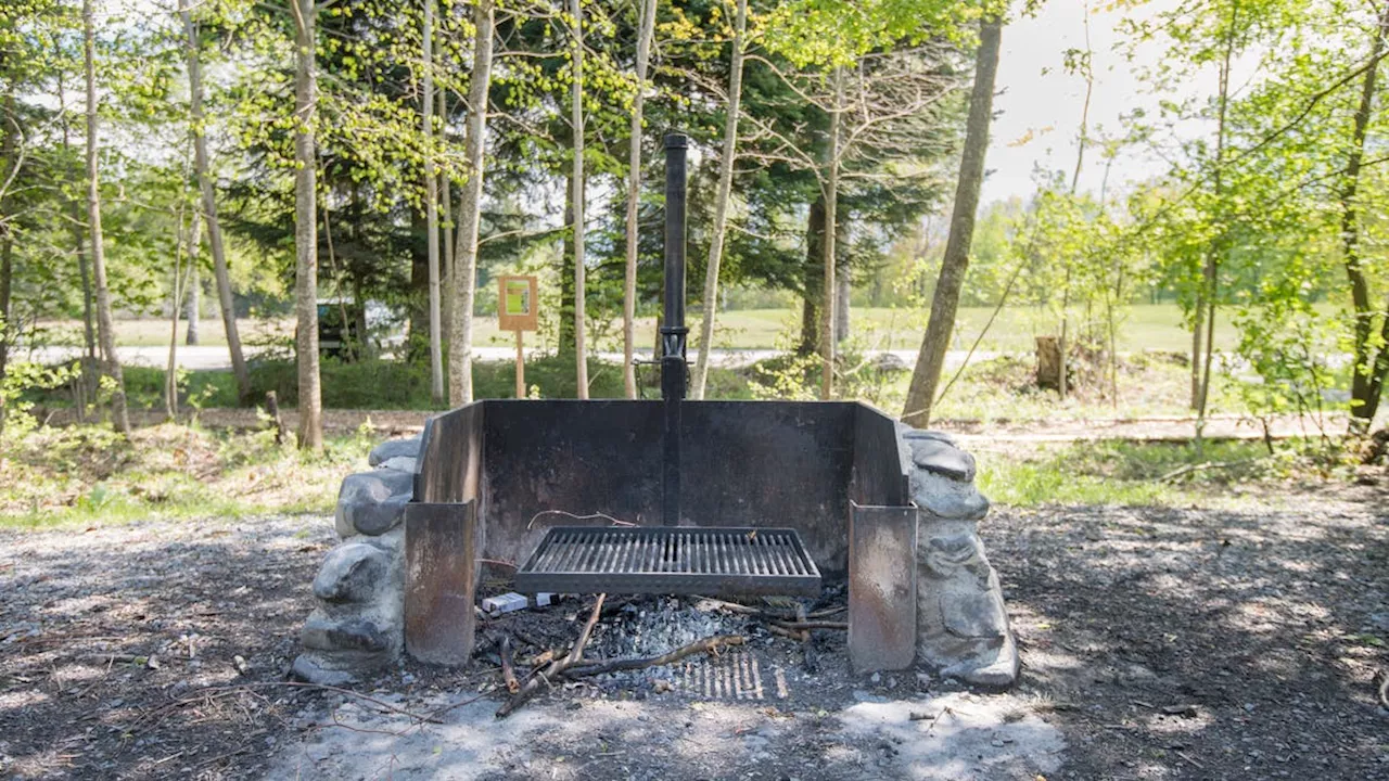 Wegen Feuerstellen und Rastplätzen im Wald: Der Bundesrat pfeift den Kanton Aargau zurück