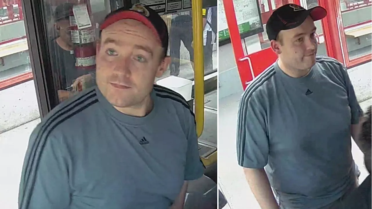 Assault suspect in OC Transpo bus sought by Ottawa police