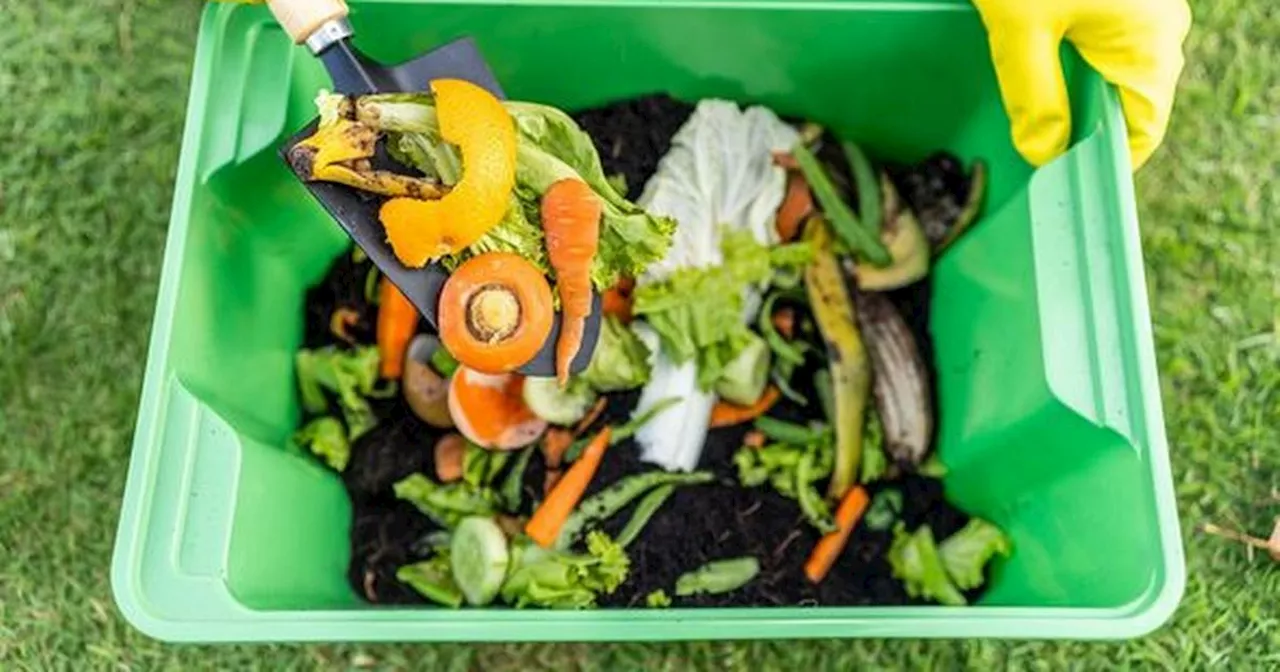 Falling Fruit Could Cost You Hundreds: Experts Warn Gardeners