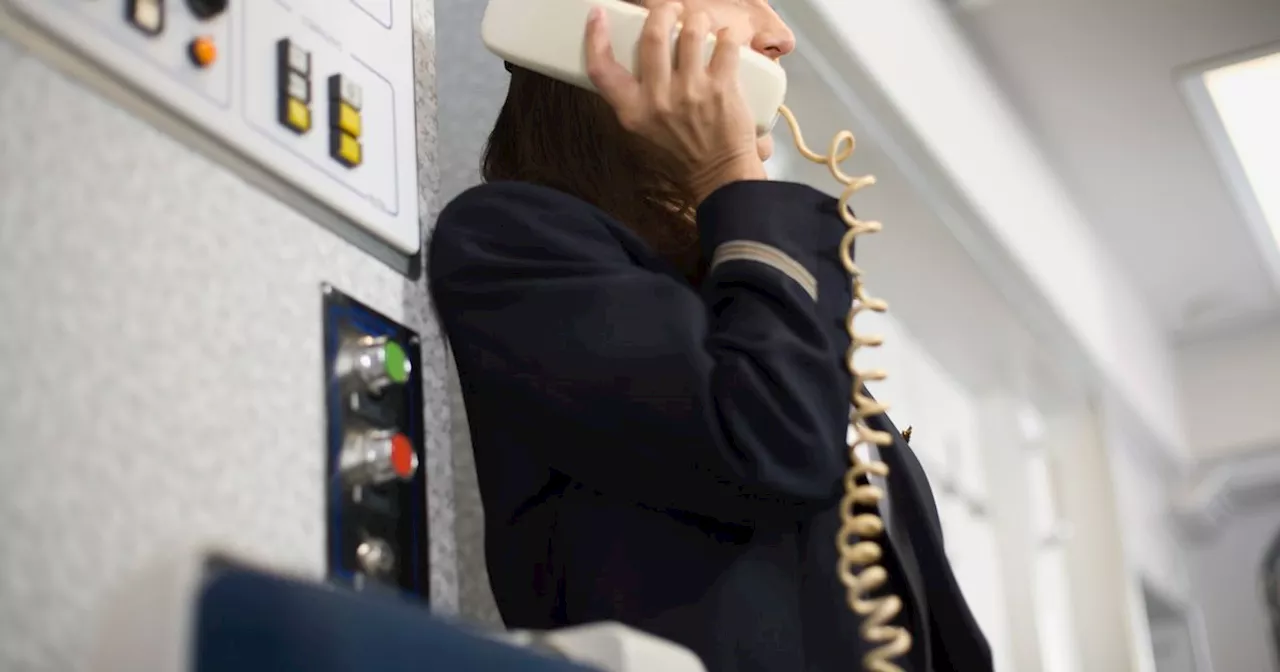 Flight attendant shares what she does in a day as passenger calls her 'amazing'