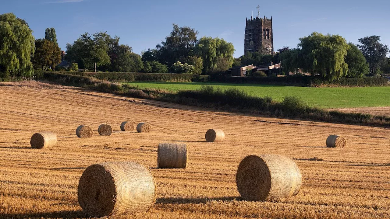 Labour accused of squandering 'Brexit freedoms' over plan to cut green farming budget by £100million...