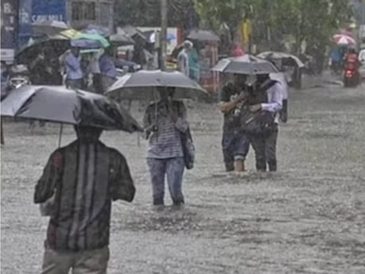 छिंदवाड़ा में अब तक 1201 मिमी बारिश हुई: 24 घंटे में सबसे ज्यादा जुनारदेव में और सबसे कम छिंदवाड़ा में हुई ...