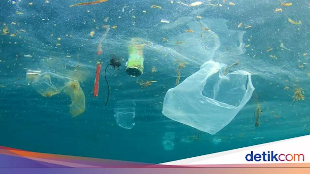 Peneliti BRIN: Sampah dari Indonesia Bisa Sampai Afrika Kurang dari Setahun