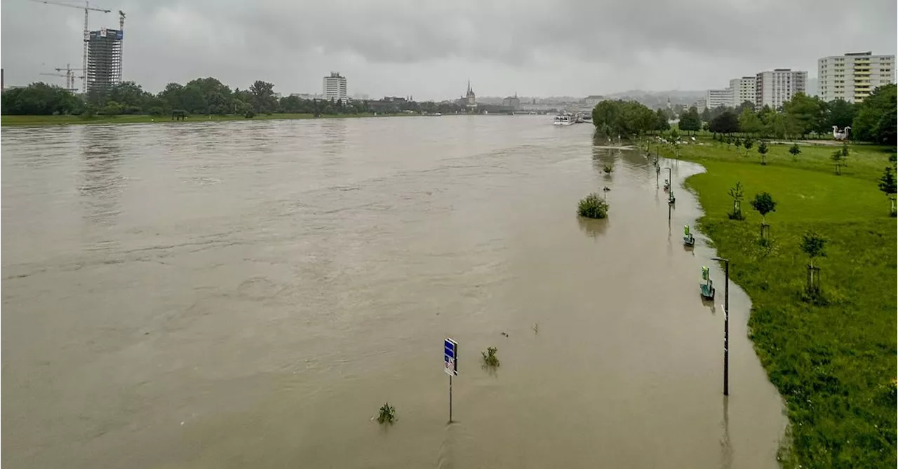 Starkregen: Kraftwerke an der Donau bereiten sich auf Hochwasser vor