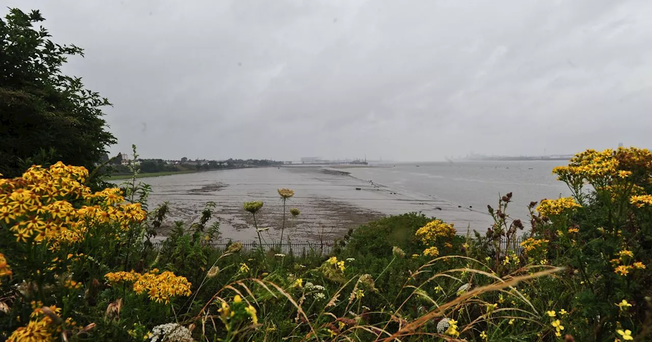 'Transformative' homes to be built on banks of River Mersey