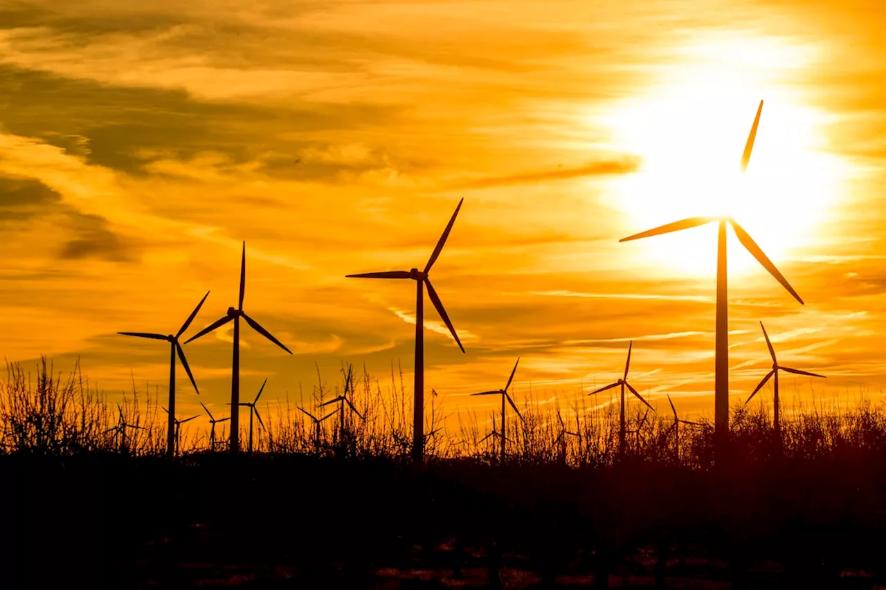 El Constitucional anula el decreto con el que Lambán quiso cambiar el modelo energético de Aragón