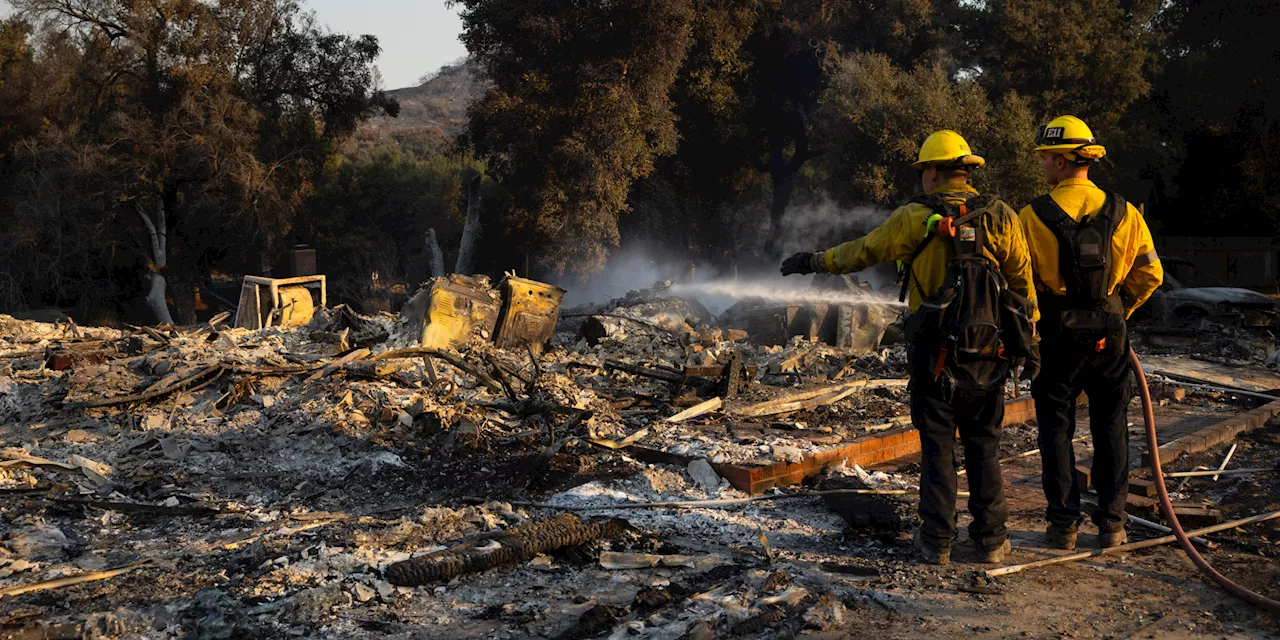 Etats-Unis : face aux incendies, le gouverneur de Californie décrète l'état d'urgence