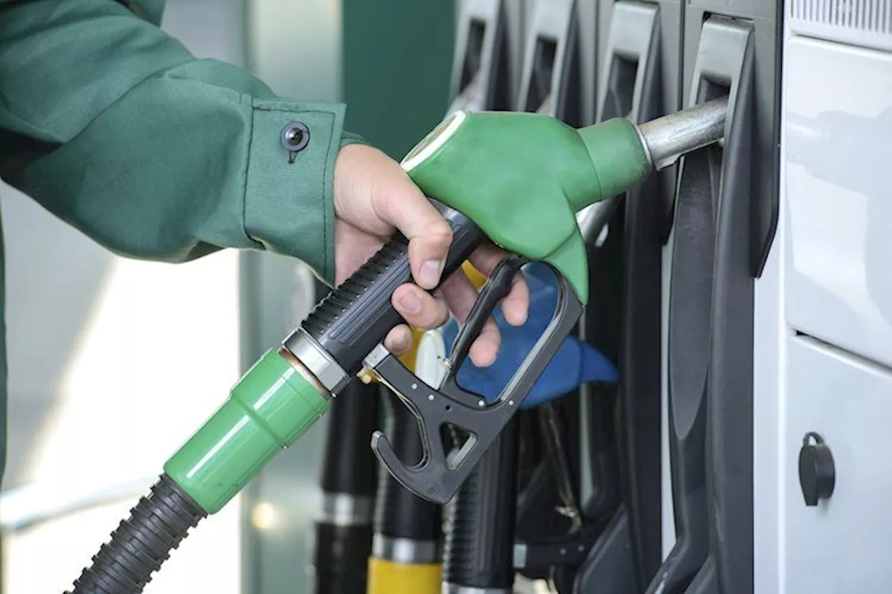 WTI holds position near $66.50 as demand concerns offset Hurricane Francine impact