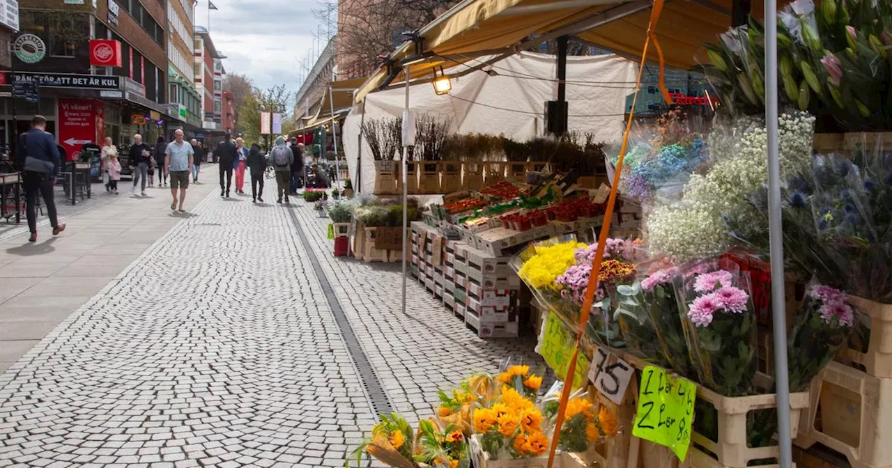 – planekonomi eller fritt näringsliv