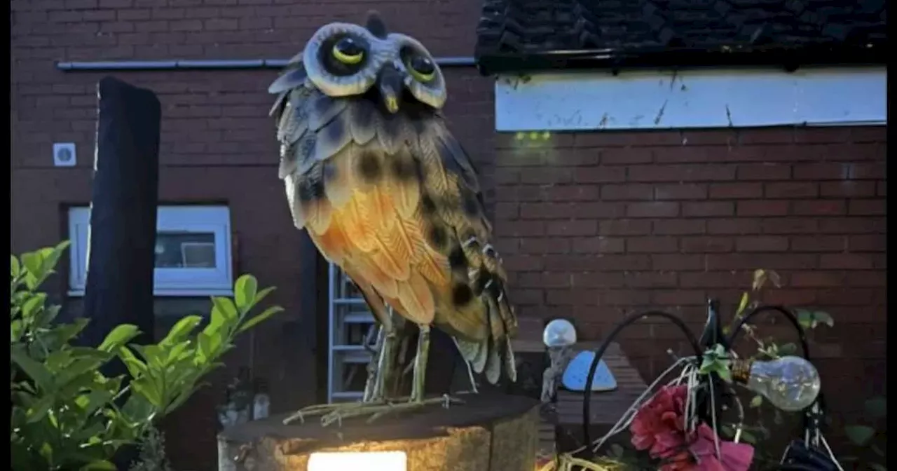 Iconic owl stolen from Partick garden which brings joy to community as owner left 'gutted'