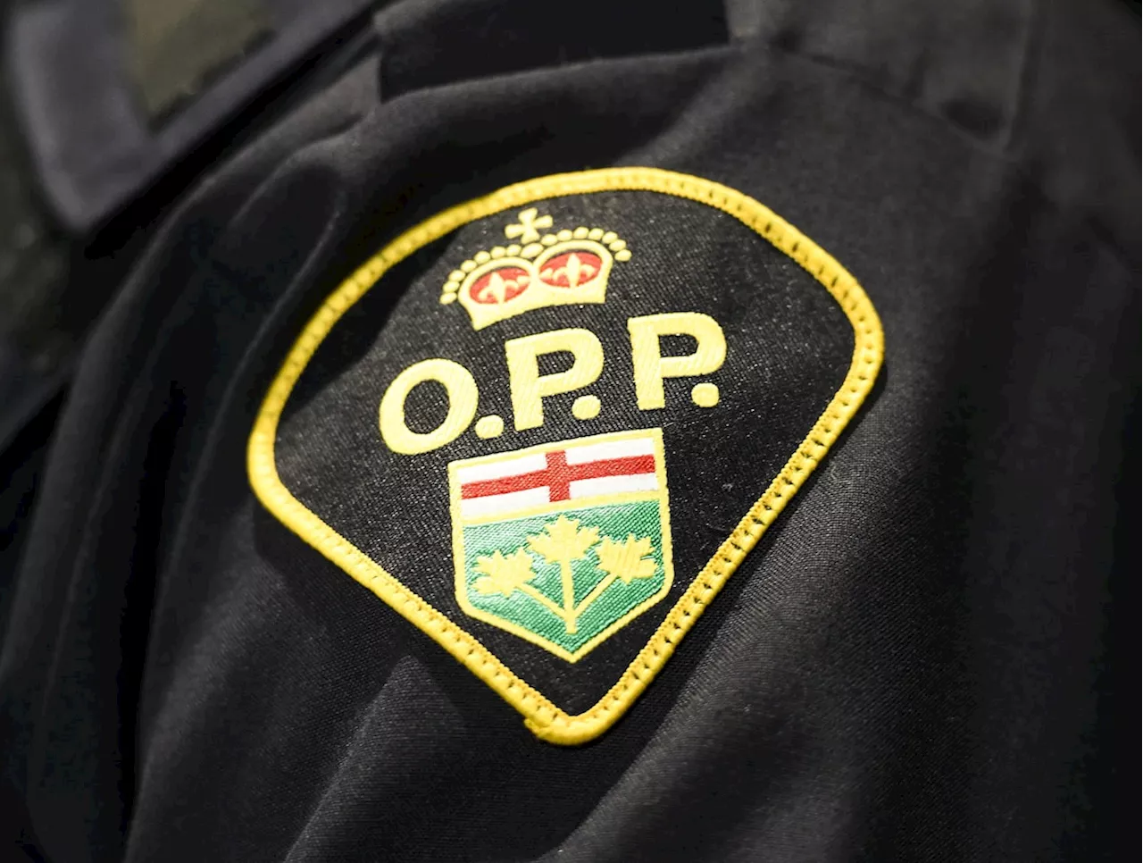 Ontario woman facing weapon charge says she was playing with a water gun