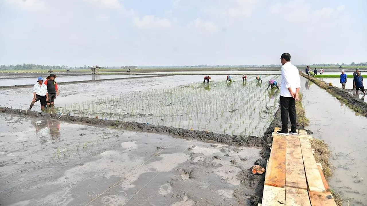 Dapat Tambahan Anggaran Rp 21,5 Triliun, Kementan Janji Kebut Program Prabowo