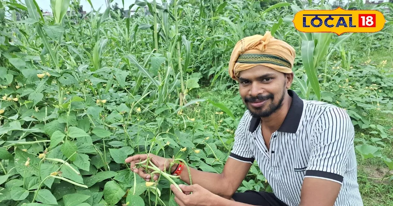 इस सब्जी की खेती ने युवा किसान की बदल दी किस्मत, 3 हजार लागत लगा सीजन में कमा रहे 80 हजार मुनाफा