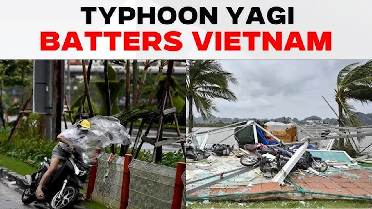 Red River level in Hanoi hits 20-year high as typhoon death toll rises to 179