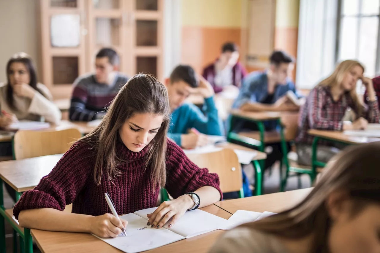 Liceo del Made in Italy, il Consiglio di Stato chiede chiarimenti