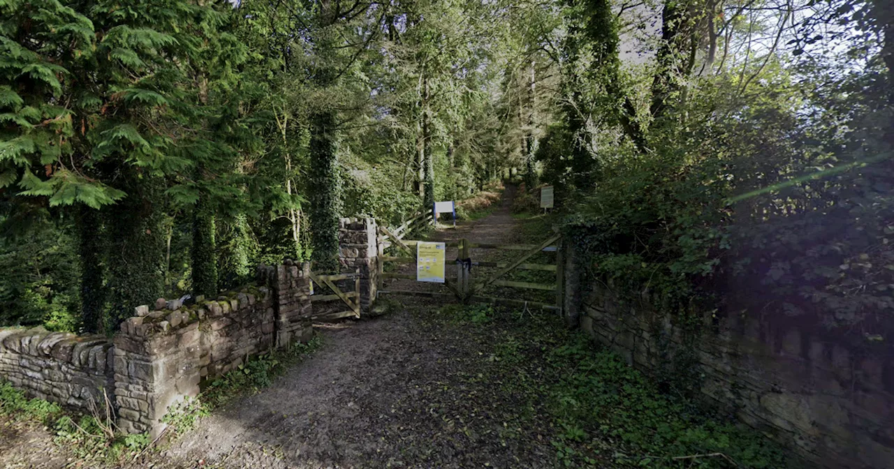 Tragedy as elderly woman dies after fall at well-known nature walk