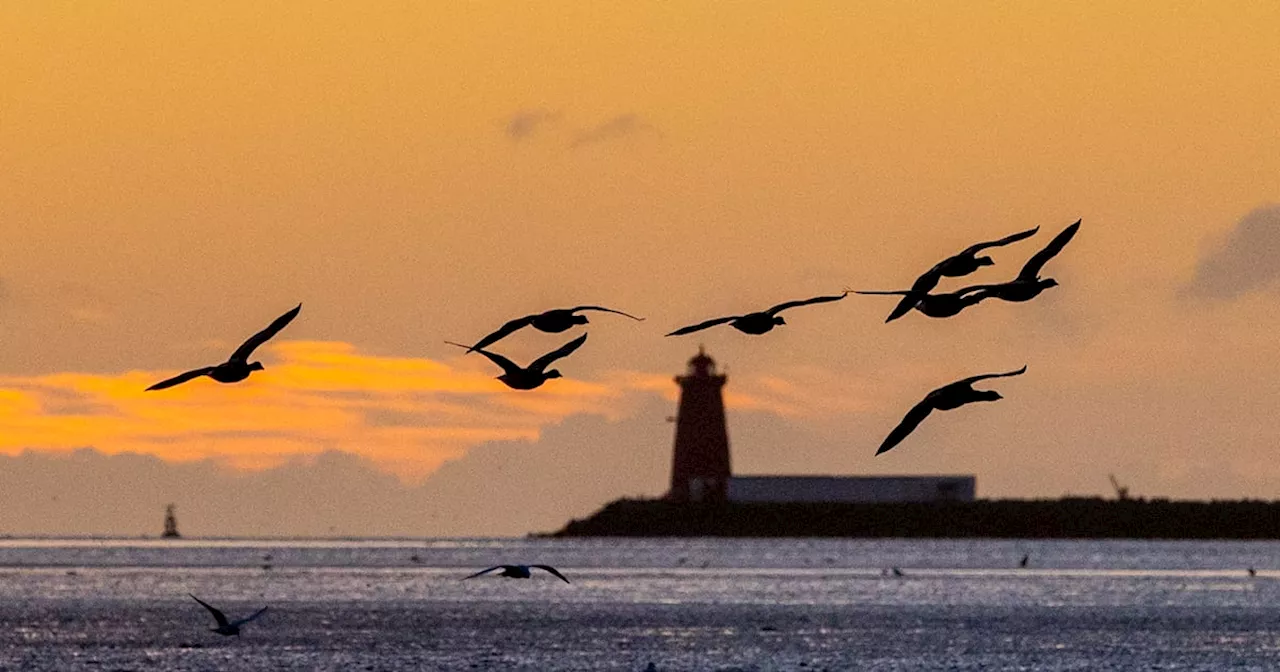 Ireland weather: Cold northerly air mass moves in as Met Éireann forecasts near-zero temperatures