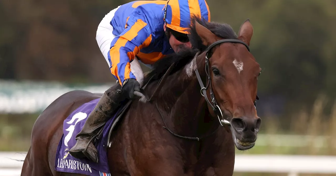 Aidan O’Brien to field St Leger trio as seven declared for Saturday’s race